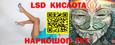 гашик Будённовск