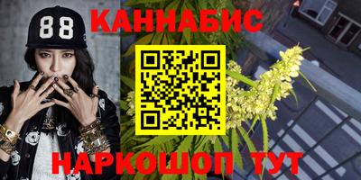 гашик Будённовск