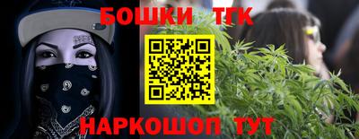 гашик Будённовск