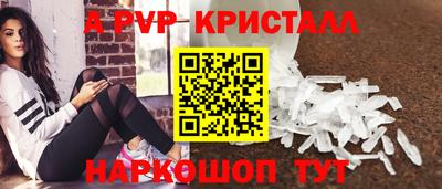 гашик Будённовск