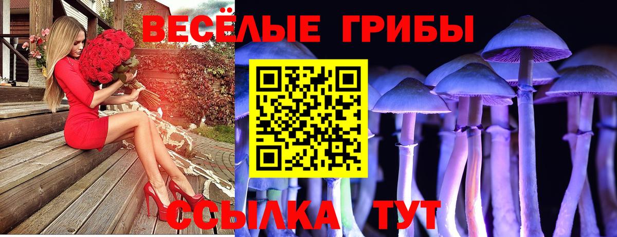 Галлюциногенные грибы мицелий Моршанск