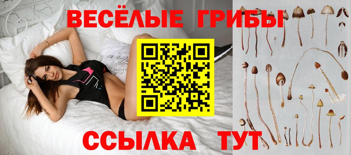 наркошоп  Вход с VPN  Моршанск  Псилоцибиновые грибы GOLDEN TEACHER 